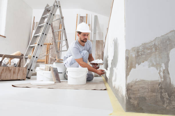 Best Basement Mold Removal  in Mastic, NY