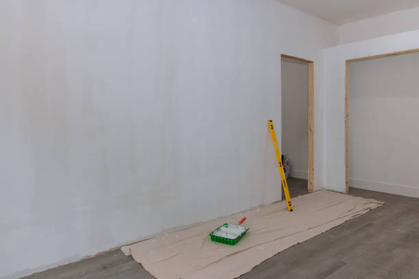 Professional Mold Removal in Mastic, NY